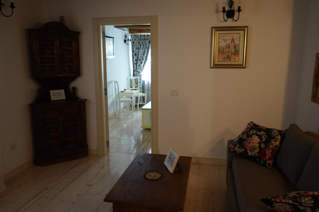 Crown Of Karolina Appartement Braşov Buitenkant foto